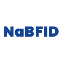 National Bank For Financing Infrastructure And Development