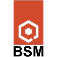 Bsm Led
