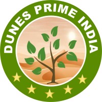 Dunes Prime India logo - Similar company to Stark Foundation