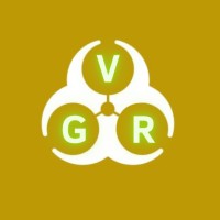 VGR GROUP Srls logo - Similar company to Minsol Group