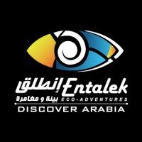 Discover Arabia logo - Similar company to Femmerepublica
