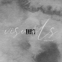 Dry Visuals Agency logo - Similar company to Digitalized Agency