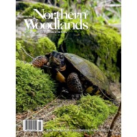 Northern Woodlands logo - Similar company to Treehugger