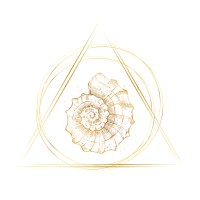 Mera Lumina Center logo - Similar company to Ecav Technologies Inc.
