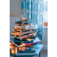 Book shelf logo - Similar company to Duckworth Publications