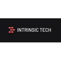 Intrinsic Tech logo - Similar company to Intrinsic Technologies