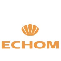 Guangzhou Echom Science&Technology Co., Ltd. logo - Similar company to Guangzhou Litel Technology Co.,Ltd