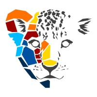 Singapore Youth Football League logo - Similar company to Creative Cloud Community