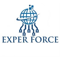 Exper Force