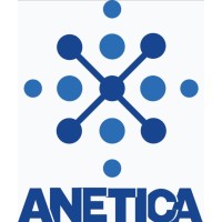 ANETICA Consulting Private Limited logo - Similar company to Alk Talent Search
