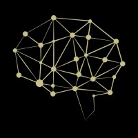 Evolve Marketing Solutions logo - Similar company to Lux Digital