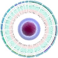 PersonAlGeneTiCs S.L. logo - Similar company to Precongenia