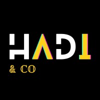 Hadi & Co logo - Similar company to Discover Technologies