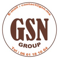 GSN Group logo - Similar company to Okgo Group