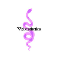 violxtsthetics logo - Similar company to Technovere Solution
