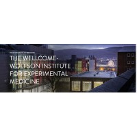 Wellcome-Wolfson Institute for Experimental Medicine logo - Similar company to Genome Diagnostics Ltd