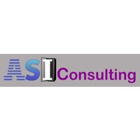 Asi Consulting, Llc
