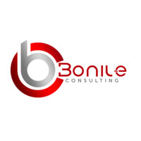 Bonile Consulting logo - Similar company to Mbeu Engineering
