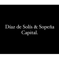 Diaz de Solis & Sopeña Capital logo - Similar company to Touch Incentive