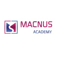 Macnus Academy logo - Similar company to Artizella