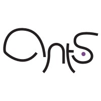 ANTS logo - Similar company to Vnt Electronics S.R.O.