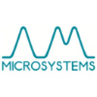 AM Microsystems logo - Similar company to Micro Systems Srl
