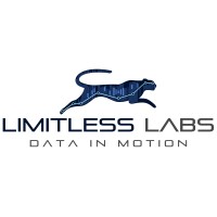Limitless Labs Egypt logo - Similar company to Medtech Solutions Egypt