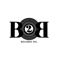 B2B RECORDS INCORPORATED logo - Similar company to Hilo Collective