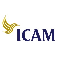 ICAM logo - Similar company to Devvstream