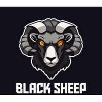 Equipe Black Sheep logo - Similar company to Ação Mestra