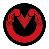 Vidya Media logo - Similar company to Secret Code