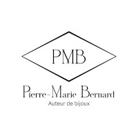 Pierre-Marie Bernard logo - Similar company to Waskoll