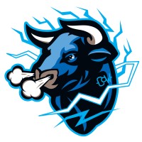 Central Oklahoma Winlectric logo - Similar company to Connect.