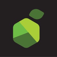 Lemontech logo - Similar company to Nivelat