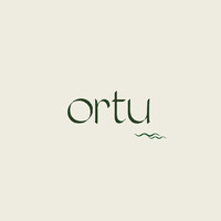Ortu logo - Similar company to Ortu Video