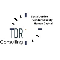 TDR Consulting logo - Similar company to Arundale Communications