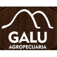Galu Agropecuária logo - Similar company to Water Drill