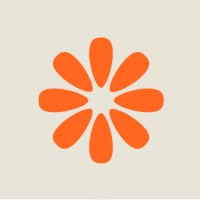 Pamplemousse Studio logo - Similar company to Brunch