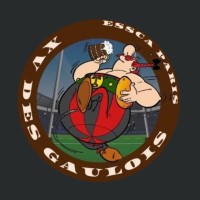 XV des Gaulois logo - Similar company to Rugby Force League