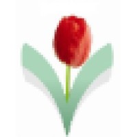 Tulipsvapi Financials & Services