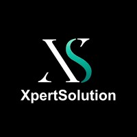 XpertSolution IT logo - Similar company to Mcsc Management