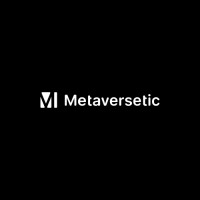 Metaversetic logo - Similar company to Dcloud.Com.Tr