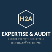 H2A Expertise & Audit logo - Similar company to Wilhow