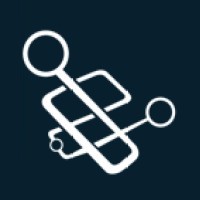 Nelysis logo - Similar company to Heqa Security