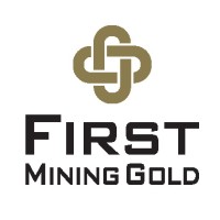 First Mining Gold Corp. logo - Similar company to Amex Exploration (Tsxv: Amx | Fse: Mx0 | Otcqx: Amxef)