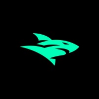 Isurus logo - Similar company to Maycam Evolve Gaming Esport Team