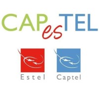 Capestel SPRL logo - Similar company to Ict Link