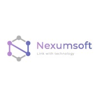 Nexumsoft A.Ş. logo - Similar company to Teknoteb