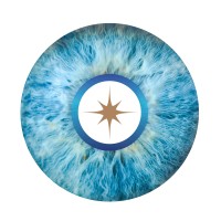 Oiris logo - Similar company to Oiles Deutschland Gmbh