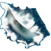 One Shore